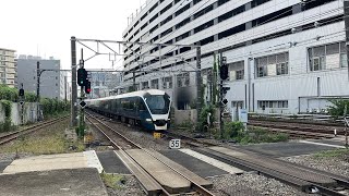 E261系ｵｵRS2編成サフィール踊り子2号東京行