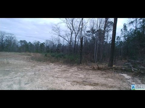 751 1, Maplesville, AL home video tour