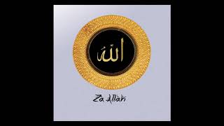 Ludiot Mc - Za Allah