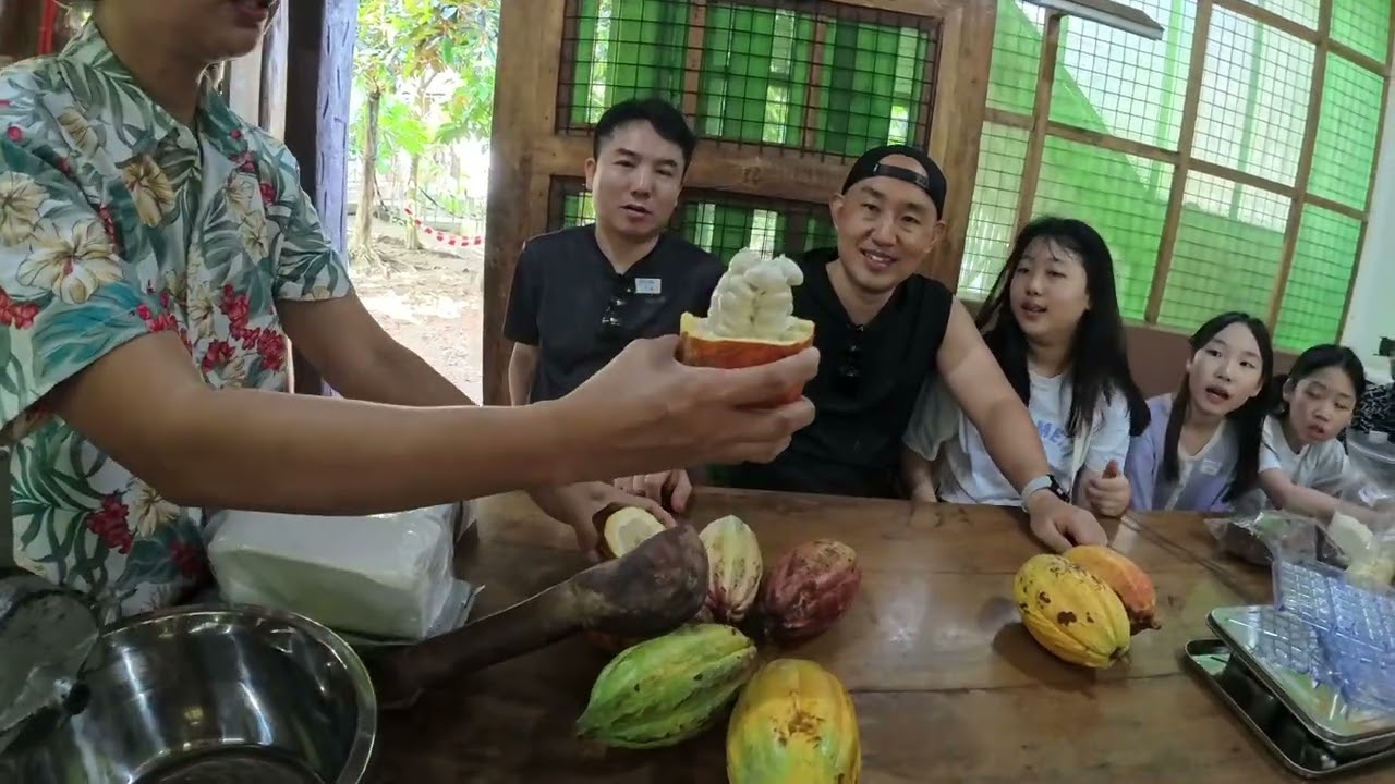 Приключение «от какао-бобов до плитки»: сбор урожая, ферментация, сушка и изготовление шоколада в...