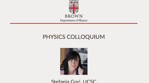 “Dark sectors: from theory to accelerator experiments,” Stefania Gori, UCSC