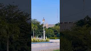 Myna (Laali) Couple Enjoying Pole Sitting: Karachi Scenes 2026 #saroadcover