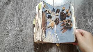 Nature TN junk journal (Sold)