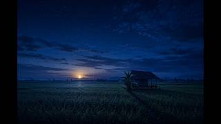 Twilight Serenade - Calming Piano Music & Sunset