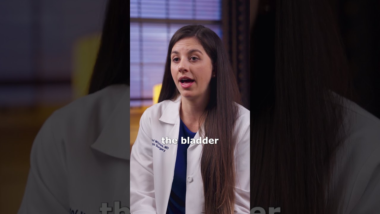 What is the Difference Between a Bladder and a Kidney Stone?