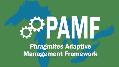 PAMF Participation Cycle