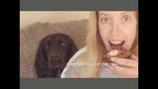 Distance Learning - Week 2 Highlights