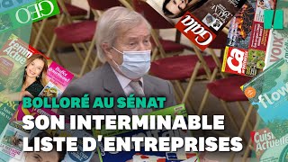 Bolloré au Sénat: cet élu a mis 5 minutes pour lister ses activités