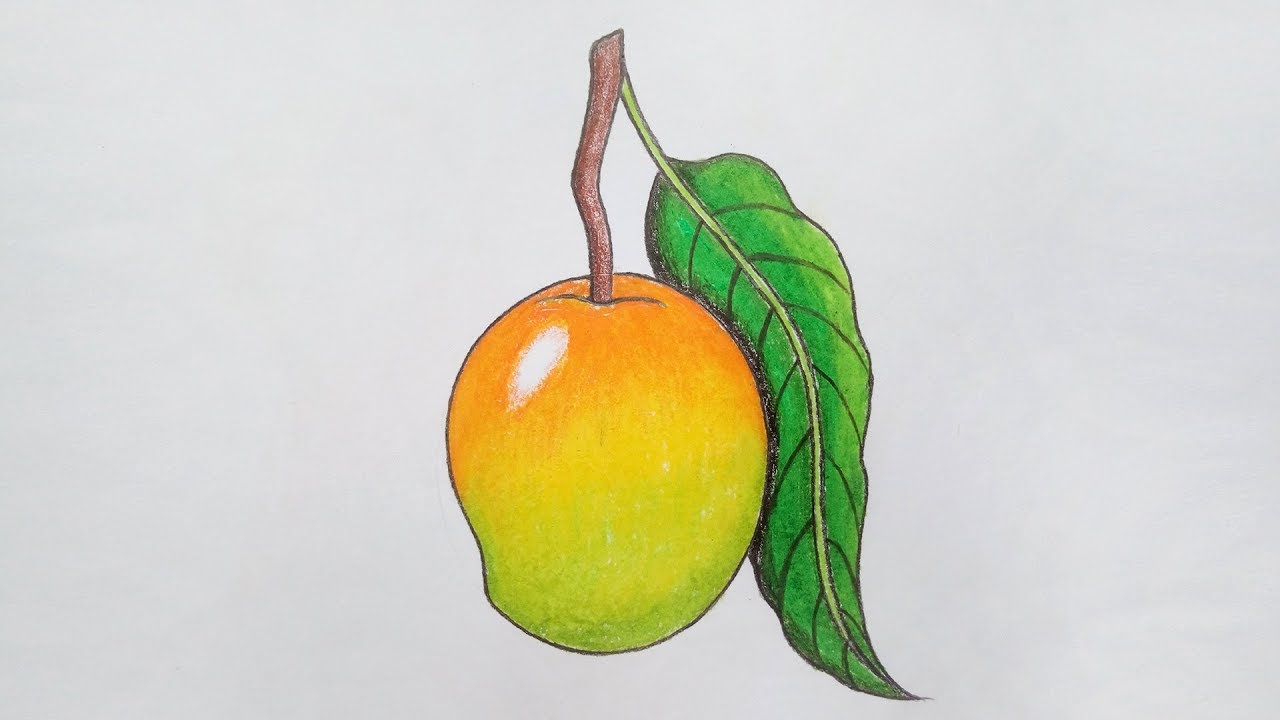 Featured image of post How To Draw Mango Easily