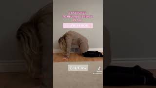 Exercises to Release Pelvic Floor Tension!