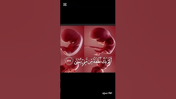 آيات مؤثره من سورة القيامه