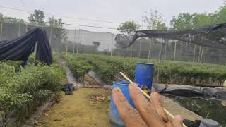 Cmk lolay (85) pembongkaran paranet 92hst..
