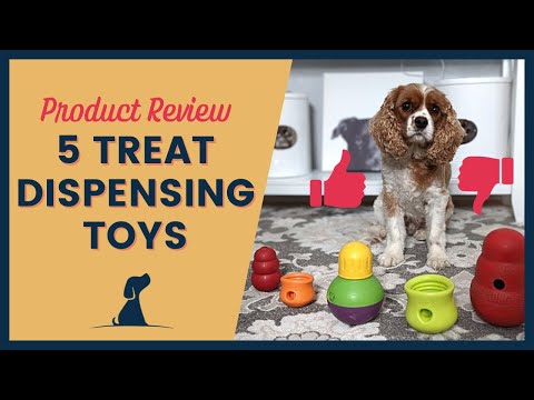 The 8 Best Treat Dispenser Toys for Dogs