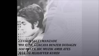 CEYHUN  ILQAR SULEYMANZADE-BIR KIZIL GONCAYA BENZER DUDAGIN Resimi