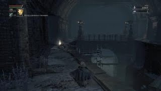 Bloodborne Главное В Жизни Это Упорство :^)