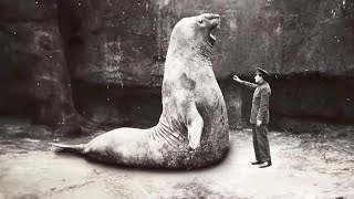 11 Abnormally Large Animals That Really Exist