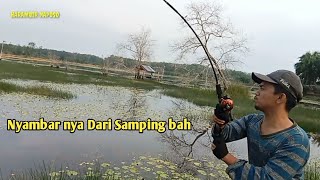 SAMBARAN NYA DARI SAMPING