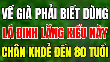 Người Già Biết Dùng Lá Đinh Lăng Theo Cách Này, Ngừa Teo Cơ, Hết Tê Tay, Yếu Chân