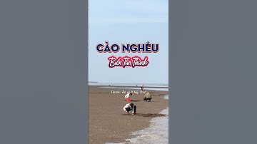 Trải nghiệm cào nghêu miễn phí tại Biển Tân Thành,Gò Công còn muốn mua thì cân tính tiền #trainghiem