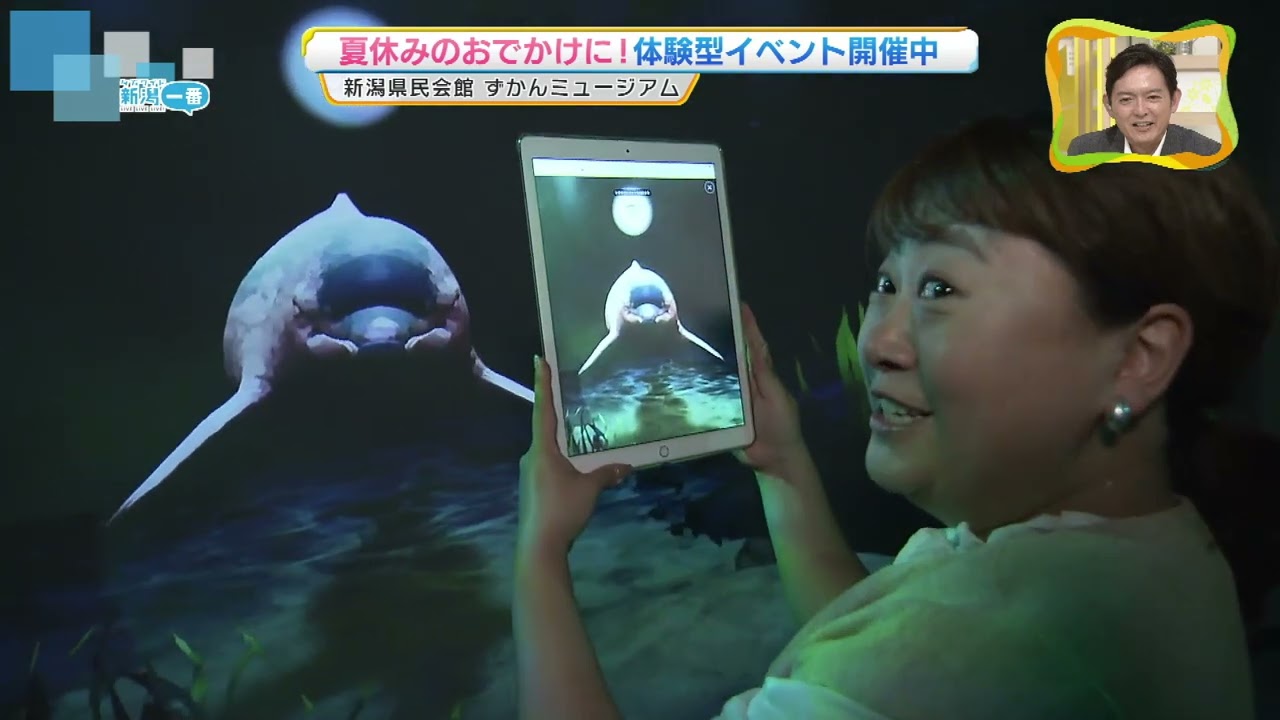 Summer Vacation] What is the 