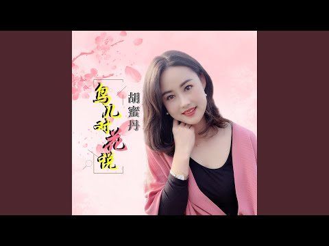 鸟儿对花说 (DJ何鹏版)