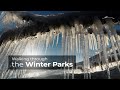 Walking through the winter parks of toronto