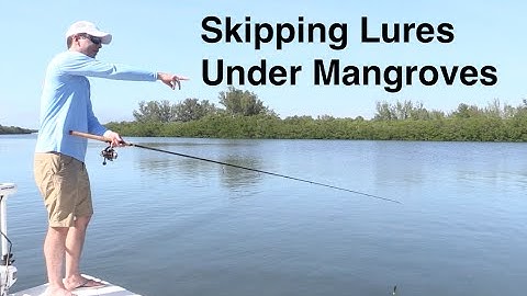 How to Skip a Lure under Mangroves - Casting Tips