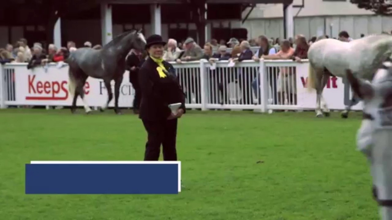 Irish Injured Jockeys 720p