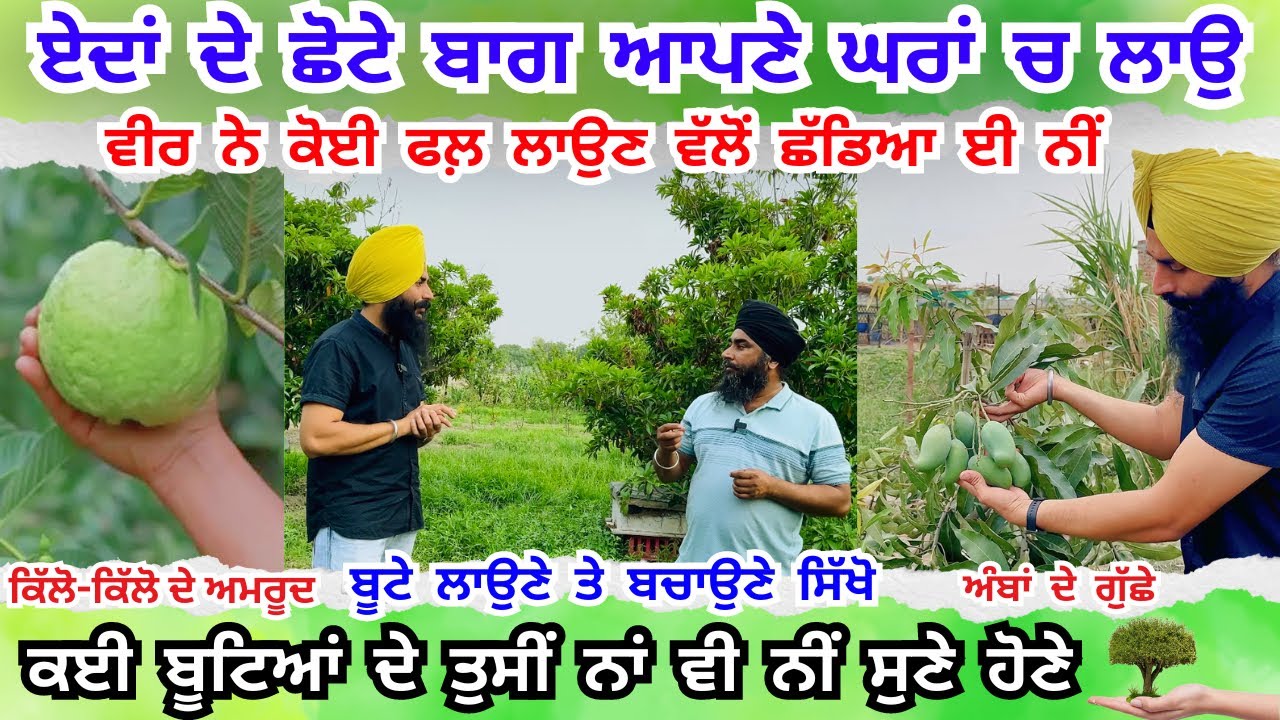 ਛੋਟੇ ਬਾਗ ਘਰਾਂ ਚ ਜਰੂਰ ਲਾਉ, ਸਾਰਾ ਸਾਲ ਫਲ਼ ਨਹੀਂ ਮੁੱਕਣੇ | This Orchard almost everything | Rangle Punjabi