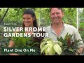 Silver Krome Greenhouse Tour: Aroids, Prayer Plants, and More! — Ep 166