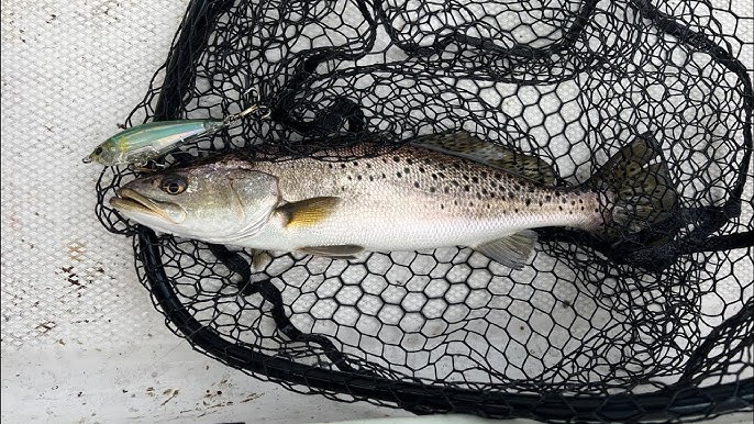 North Carolina Speckled Trout Fishing: Yo-Zuri & Rapala Jerk Baits