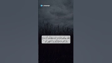 سورة الأنعام | القارئ محمد اللحيدان #quran