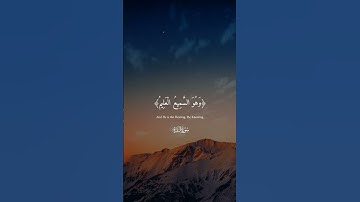 ما اسم القارئ ؟