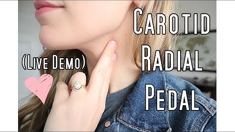 How to check a pulse (Carotid, Radial, Pedal) LIVE DEMO