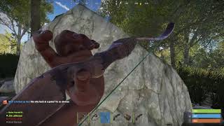 Needed this Euka Play - Rust
