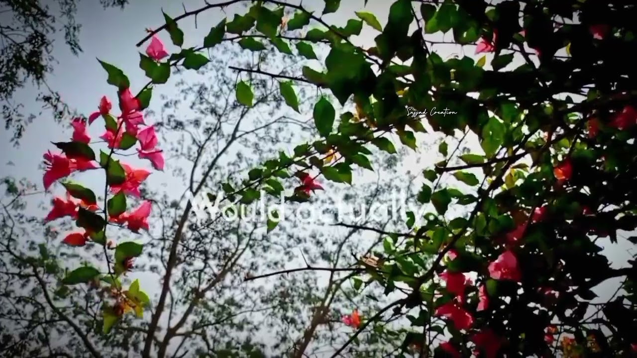 New Lyrical Video|| Sajjad Creation