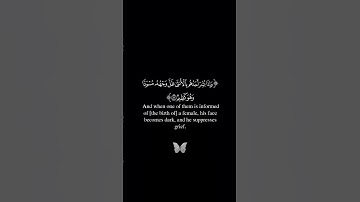 وإذا بشر أحدهم بالأنثى|سورة النحل|عبدالرحمن مسعد|كروما قرآن خلفية سوداء black ground| #quran