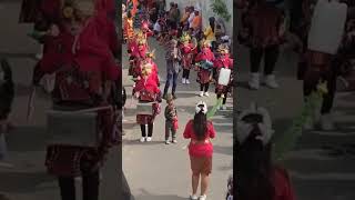 Download Lagu lagune cucak rowo #shorts #feedshorts #short MP3