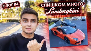 Слишком много LAMBORGHINI. Продвижение Instagram. Правда о ГИВАХ. Жизнь в Америке. Майами.