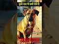सावधान ! कही आपके घर के बाहर तो नहीं रोते कुत्ते 😱 #short #shorts
