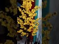 CARA MERANGKAI BUNGA SAKURA JUMBO