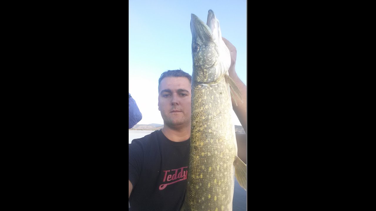 Cuillers brochet pour la pêche à la cuillère