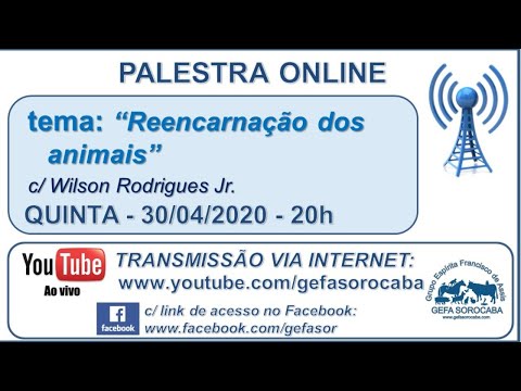 Assista: Palestra online - c/ WILSON RODRIGUES JR (30/04/2020)