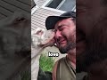 Dying Dog Comforts Owner In Final Moments Leaving Him Truly Alone Shorts 