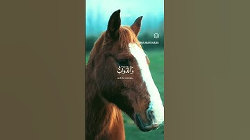 سورة الحج || ياسر الدوسري ❤️ #quran #quran_kareem #quran_karim_قران_الكريم