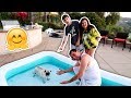 TEACHING OUR DOG HOW TO SWIM **FIRST TIME**