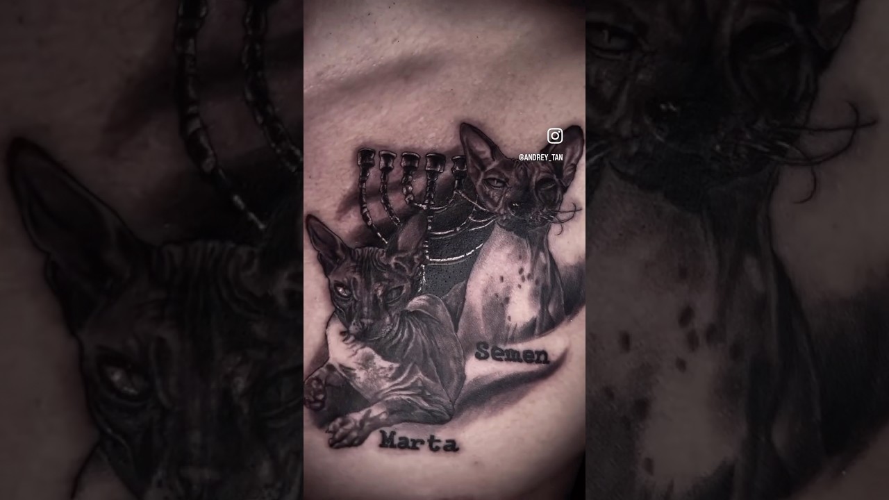 Tattoo Cat’s 