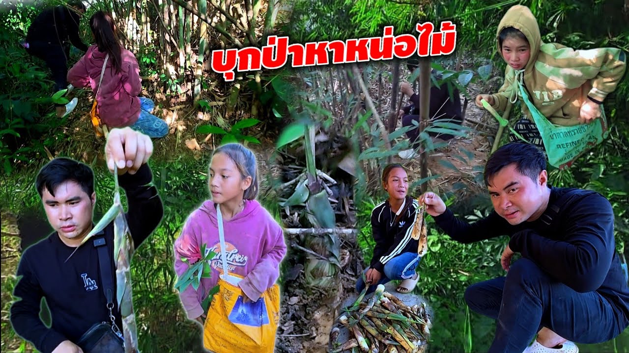บ่าวเตียงจัดให้FC หลายคน ผมไม่เคยเห็น ต้นกำเนิดของหน่อไม้ ที่เขาขายริมทาง 13 กันยายน ค.ศ. 2025