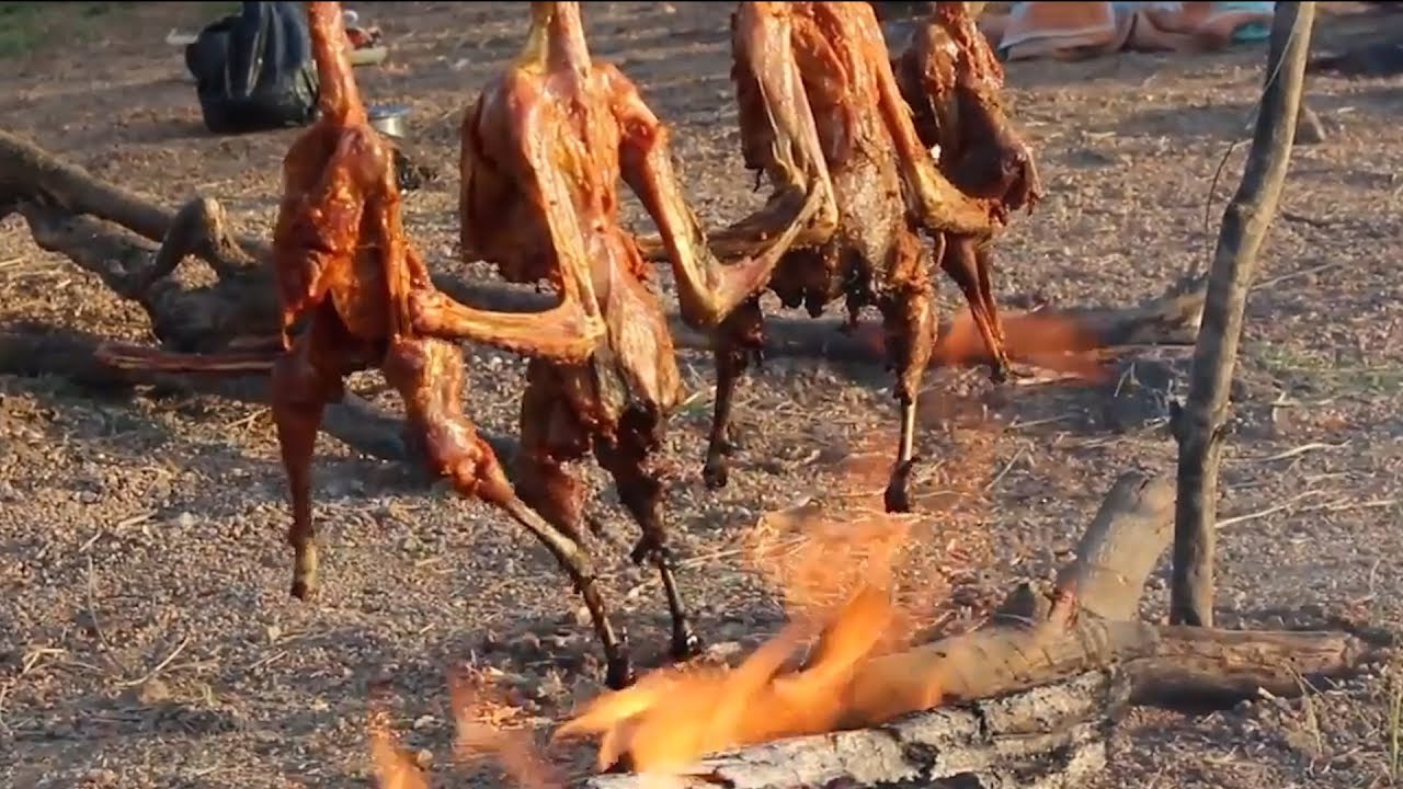 How to cook Fried Crane Bird Yummy Roasted Crane Birds Cooking in