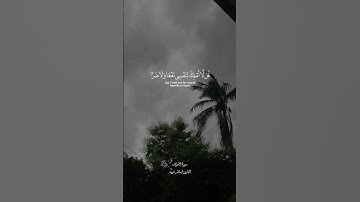 سورة الأعراف #قران #الله #قران_كريم #تلاوه #تلاوات #اسلام
